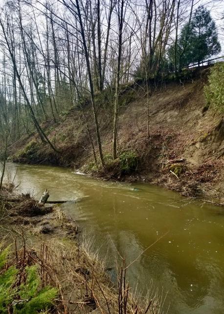 Howes Creek at 8th Ave. (Toews, D., February 21, 2021) - lack of riparian vegetation, erosion, Bertrand Creek Watershed