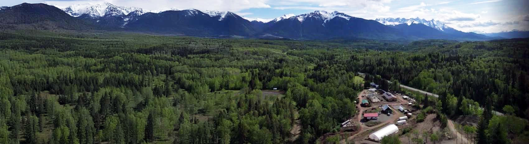 Build a business plan for Indigenous agriculture