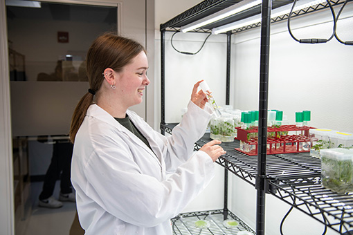 Student researcher in a lab coat examines plant samples in containers on a shelving unit under grow lights in a laboratory setting.
