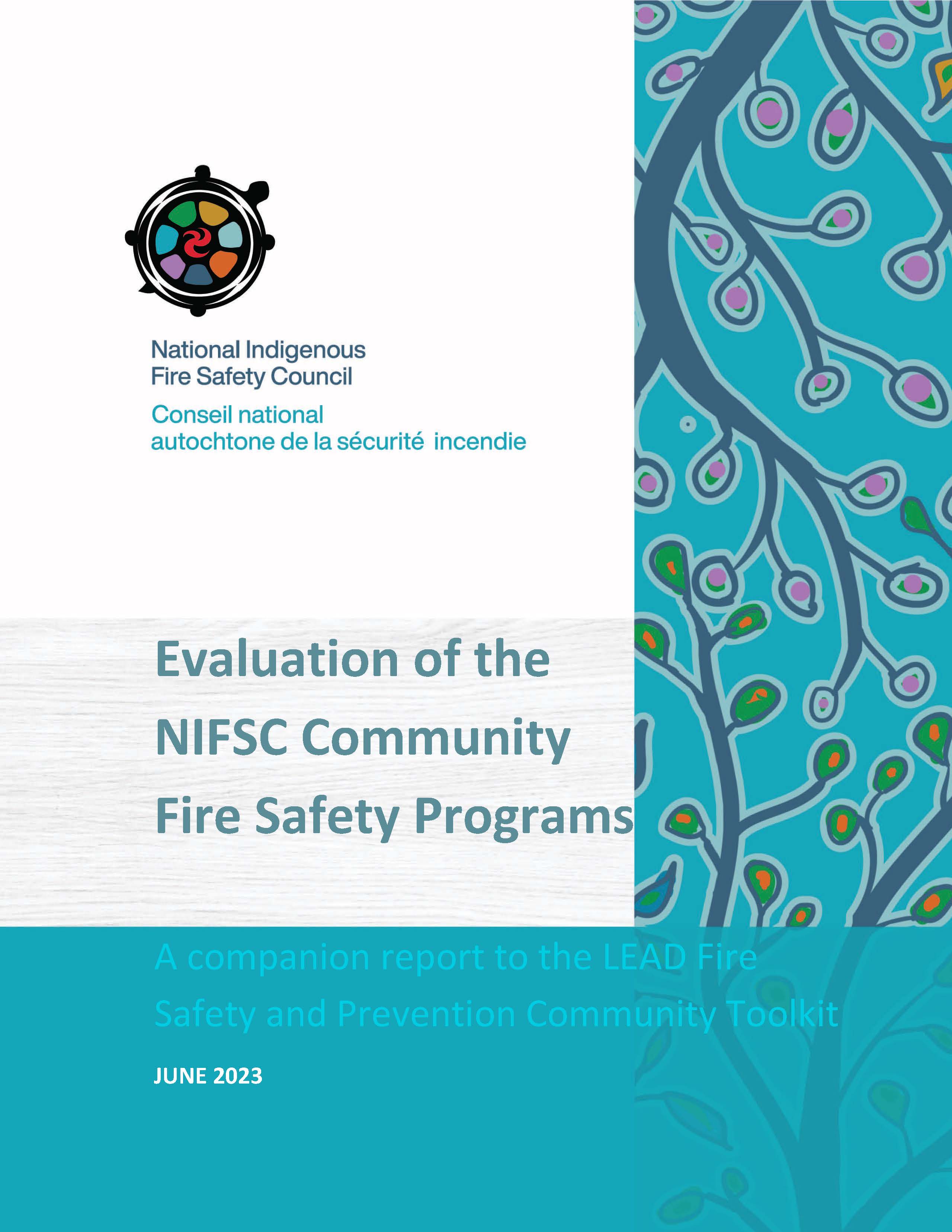 Cover of the report