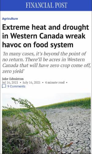 Extreme heat and drought in Western Canada wreak havoc on food system, article, Financial Post