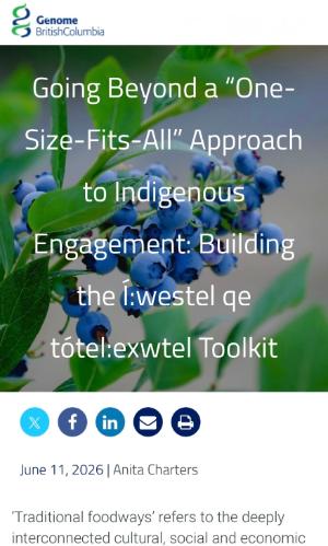 Going Beyond a One Size Fits AIl Approach to Indigenous Engagement.jpeg