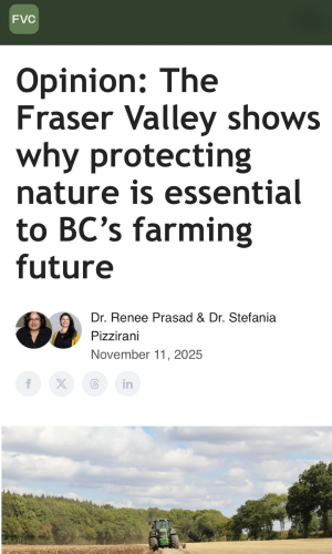 Opinion: The Fraser Valley shows why protecting nature is essential to BC's farming future, November 2025