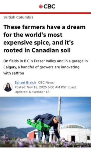 These farmers have a dream for the world's most expensive spice