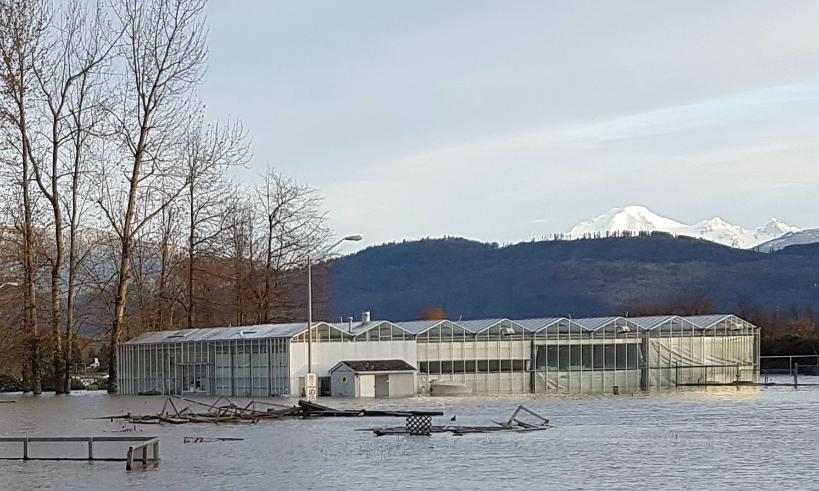 Flood Stories 2, photo by Robert Newell