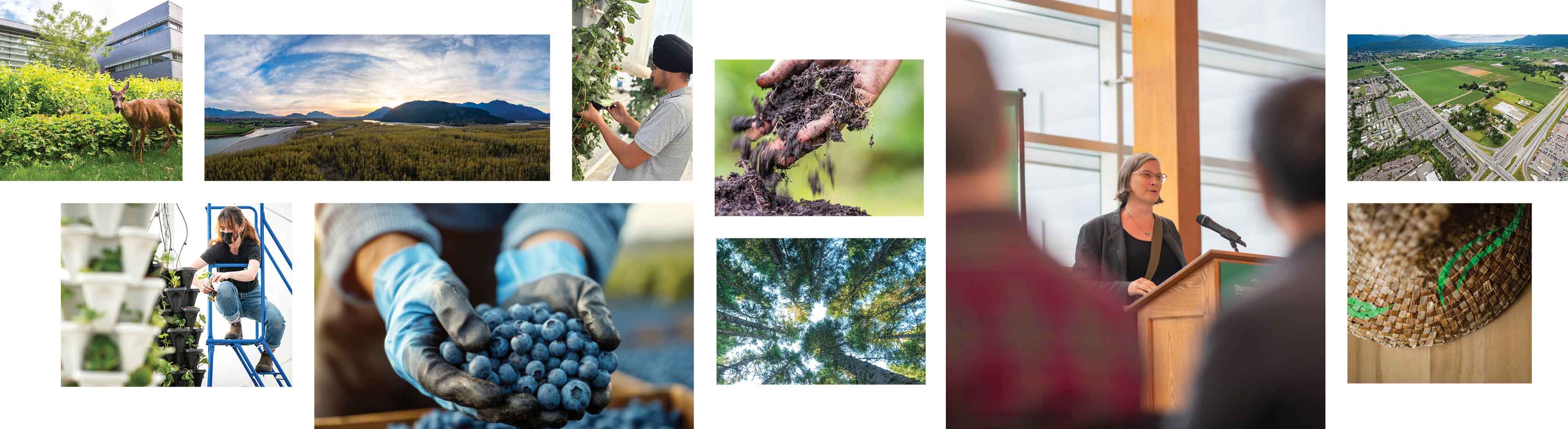 Grounded Innovation 3.0 &ndash; May 13
