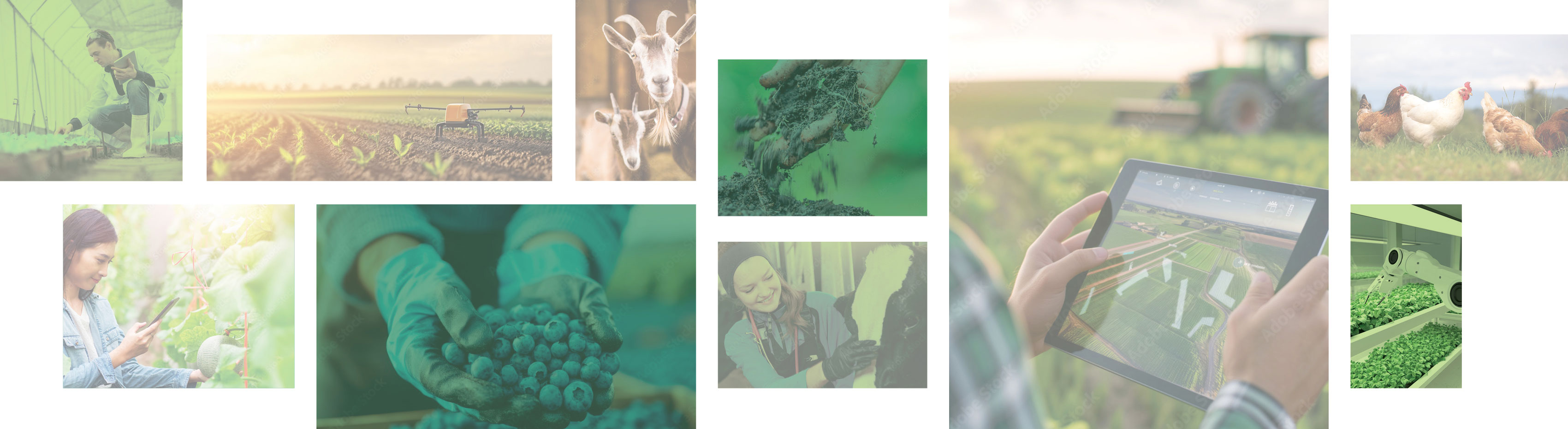 Grounded Innovation 2.0 – May 21