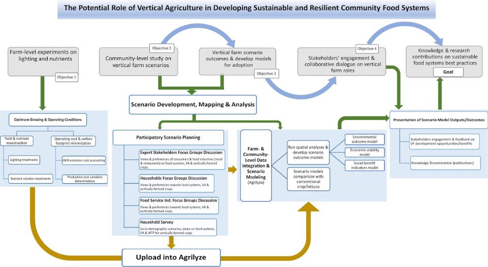 VF Flow Chart, Addis Benyam