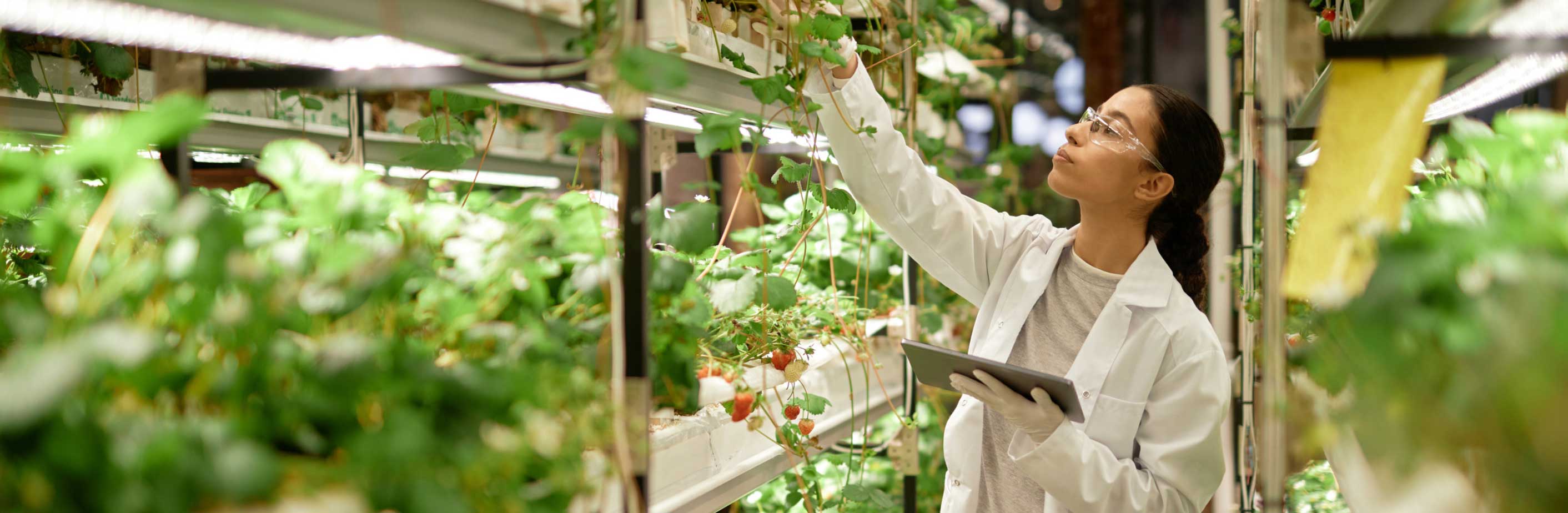 Turn research into opportunity