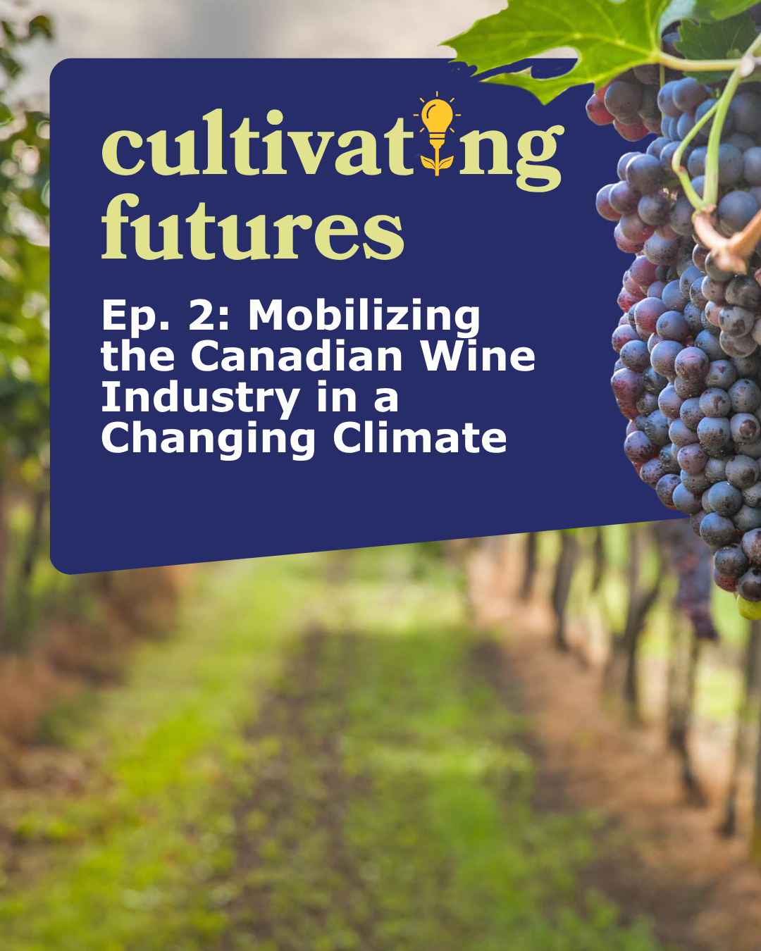 Cultivating Futures Ep. 2: Mobilizing the Canadian Wine Industry in a Changing Climate 