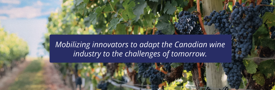 Vineyard with quote