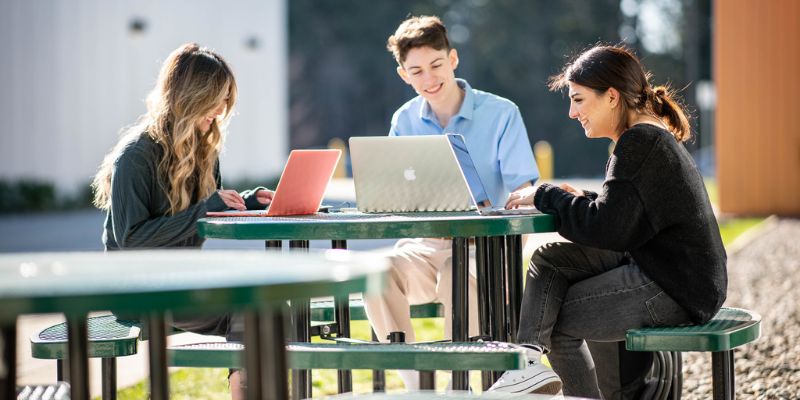 Three graphic design students enjoy an outside study session