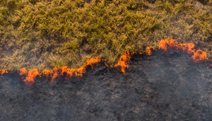 Photo of a forest fire taken from above.