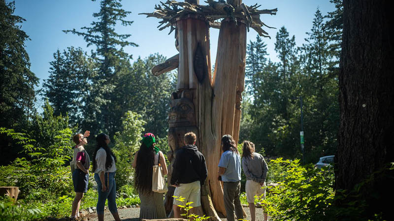 Students look up at a tree carved with beautiful Indigenous patterns