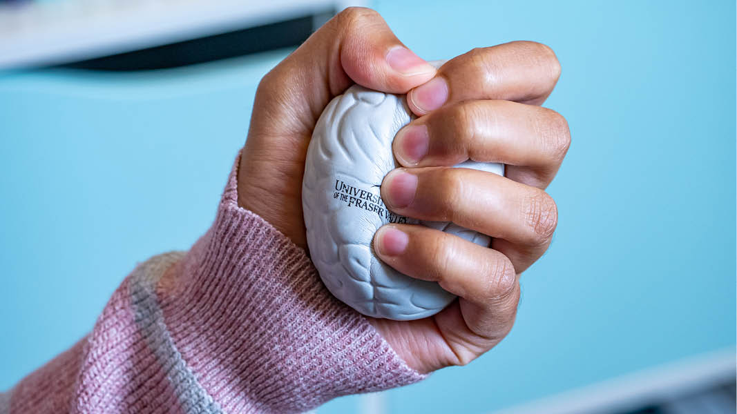 A student squeezes a brain-shaped stress ball with the UFV logo on it