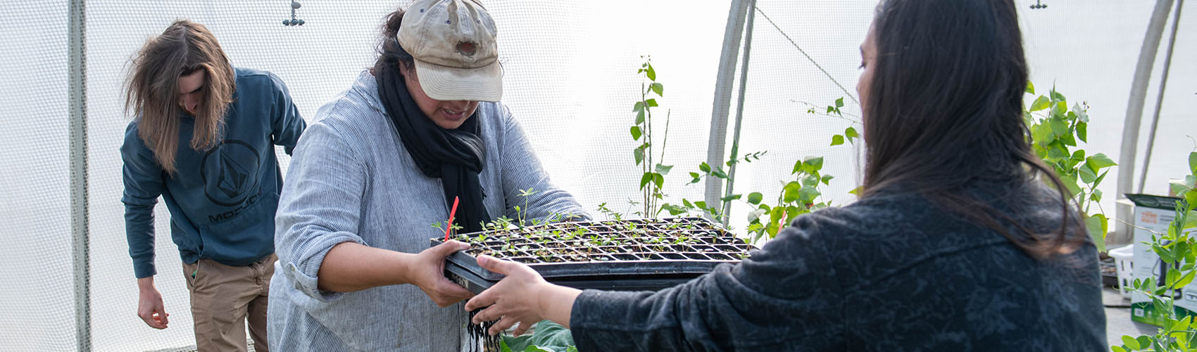 Upgrade your agricultural skills and knowledge in just two semesters