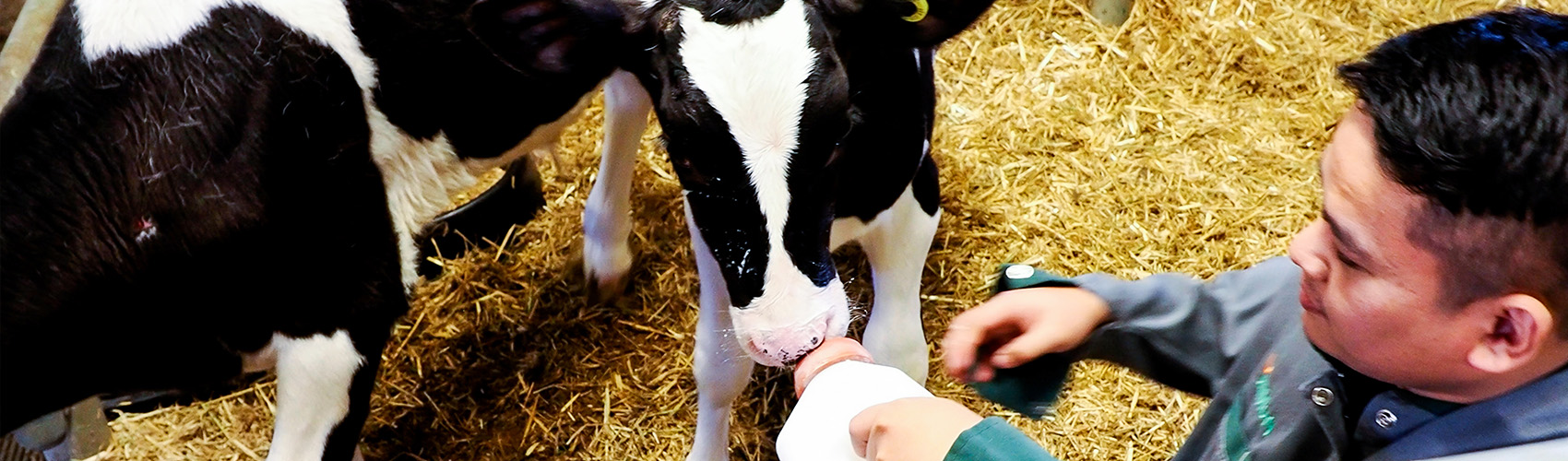Milker technicians are in demand
