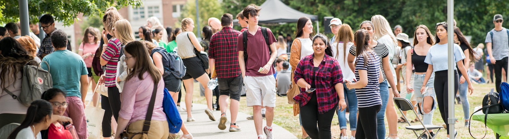 Combo 01 Internal & External Links